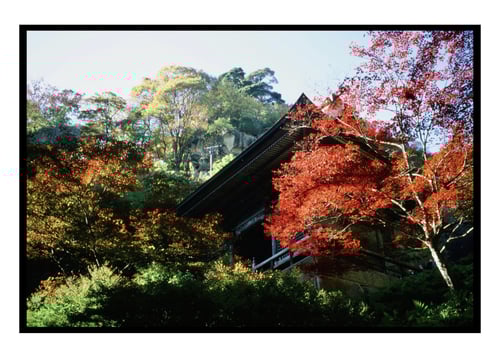 Nikon F3; Nikkor 35-105mm; Fujichrome Velvia 100
